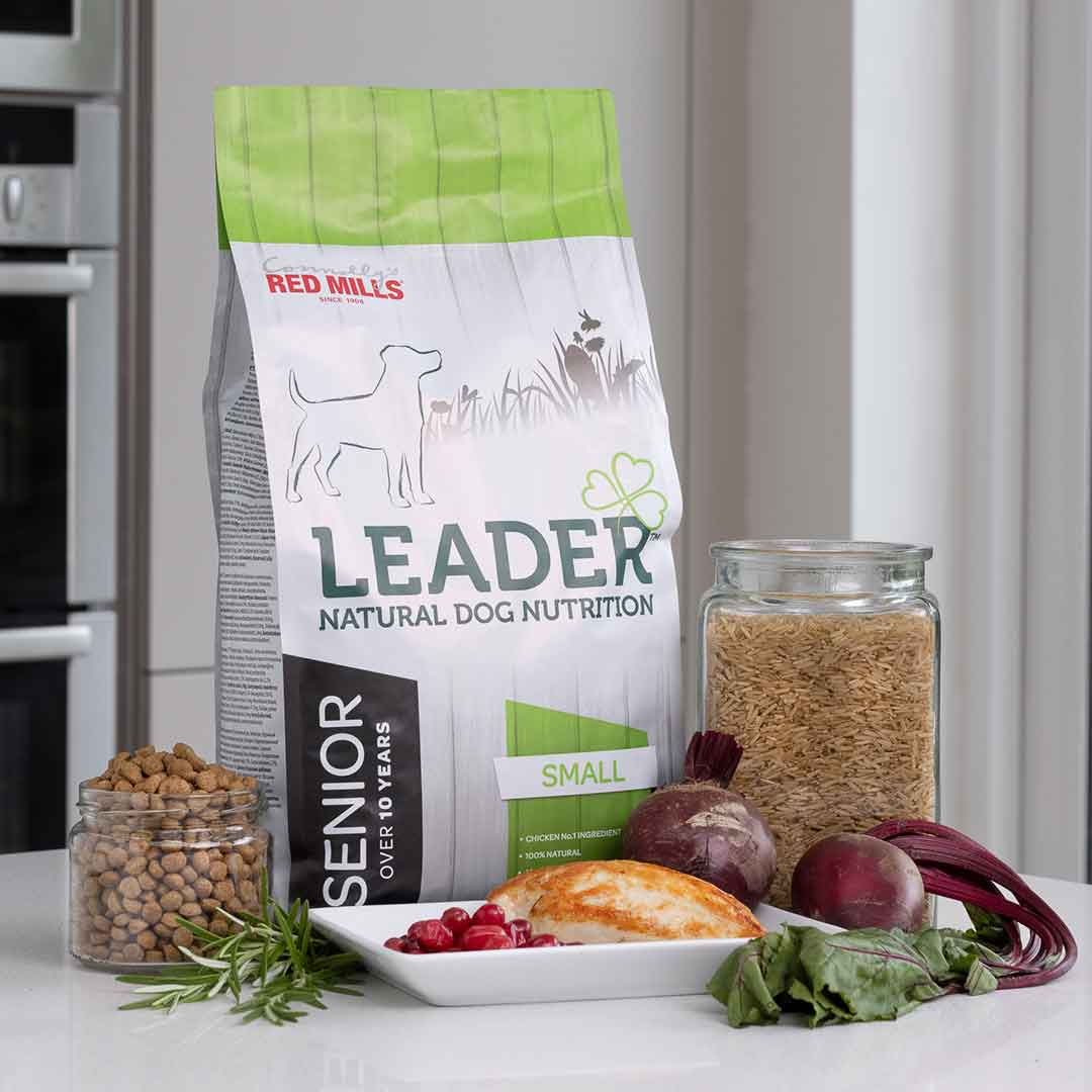 Leader Small Breed Dog Food Chicken 2kg - Image 2