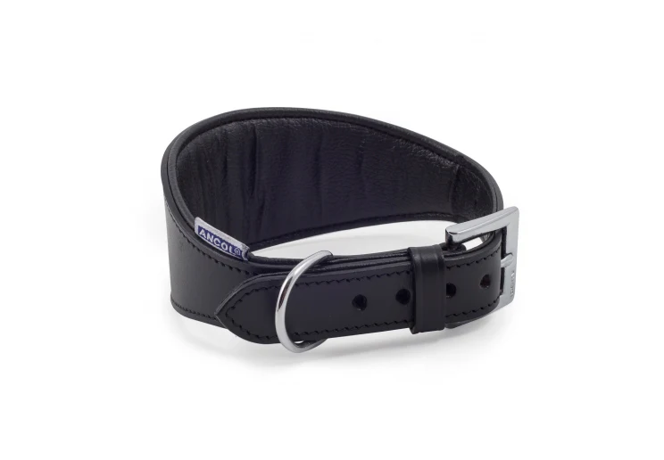Ancol Heritage Padded Hound Collar Black