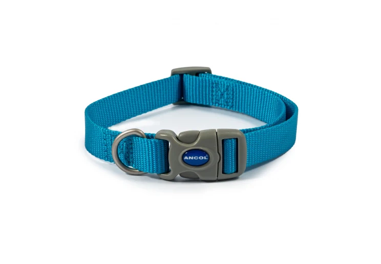 Ancol Viva Adjustable Collar Blue
