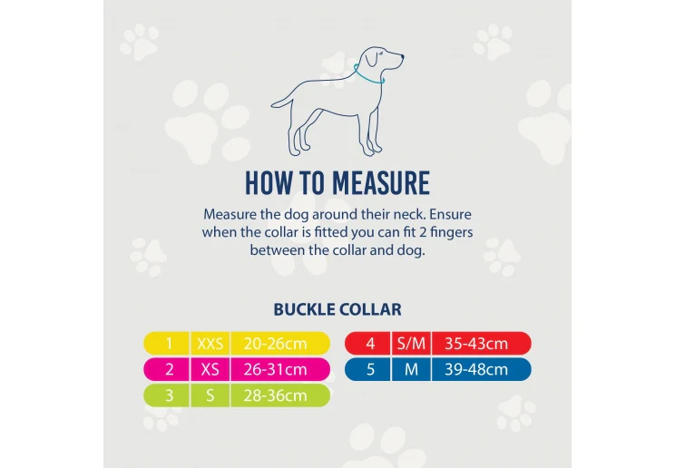Ancol Viva Nylon Dog Collar Black - Image 5