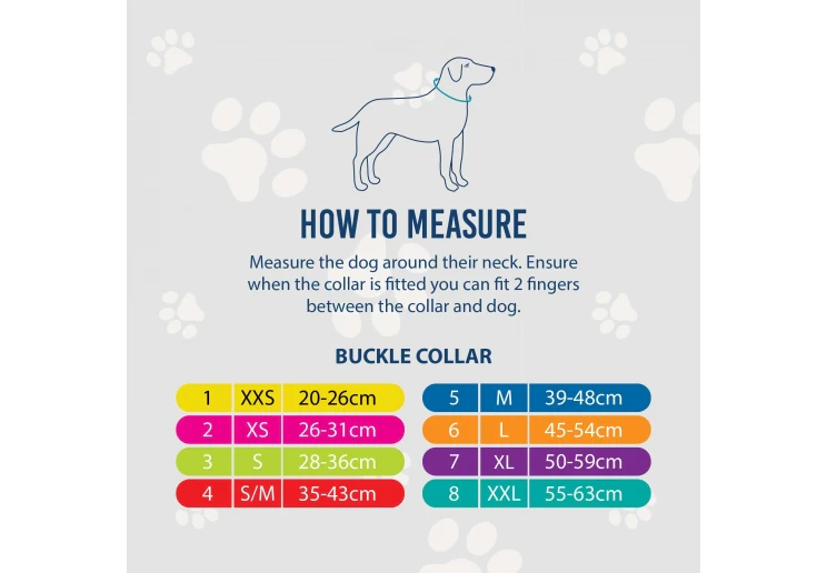 Ancol Red Sewn Studded Dog Collar - Image 2