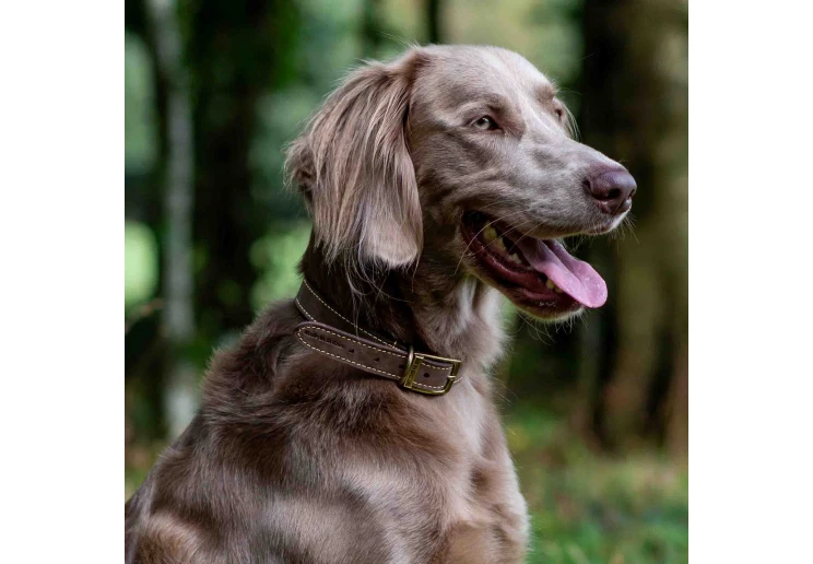 Ancol Timberwolf Leather Collar Sable - Image 3