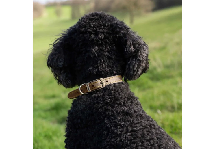 Ancol Timberwolf Leather Collar Sable - Image 5