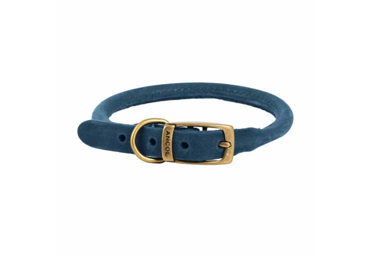 Ancol Timberwolf Rolled Collar Blue