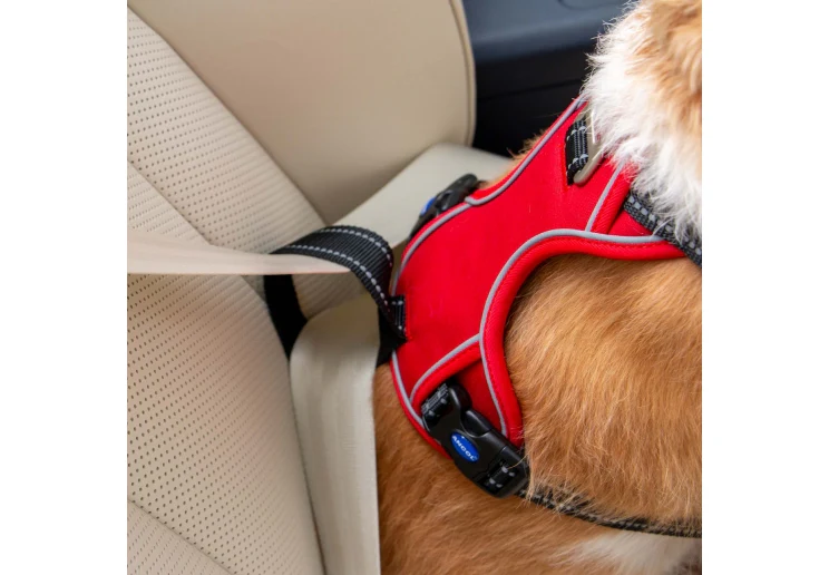 Ancol Viva Exercise & Travel Harness Red - Image 5