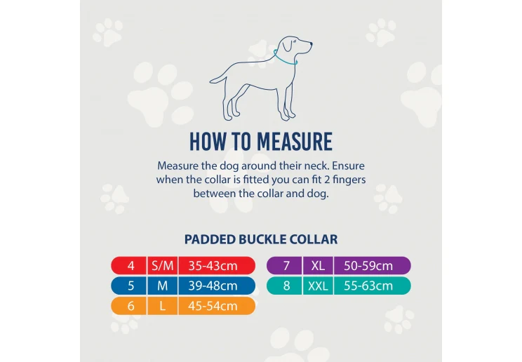 Ancol Viva Padded Collar Blue - Image 2