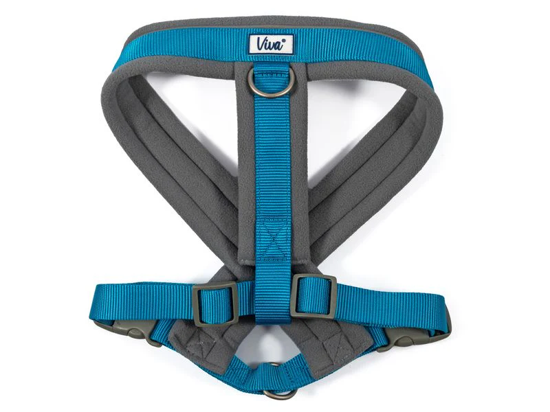 Ancol Viva Padded Harness Blue - Image 3