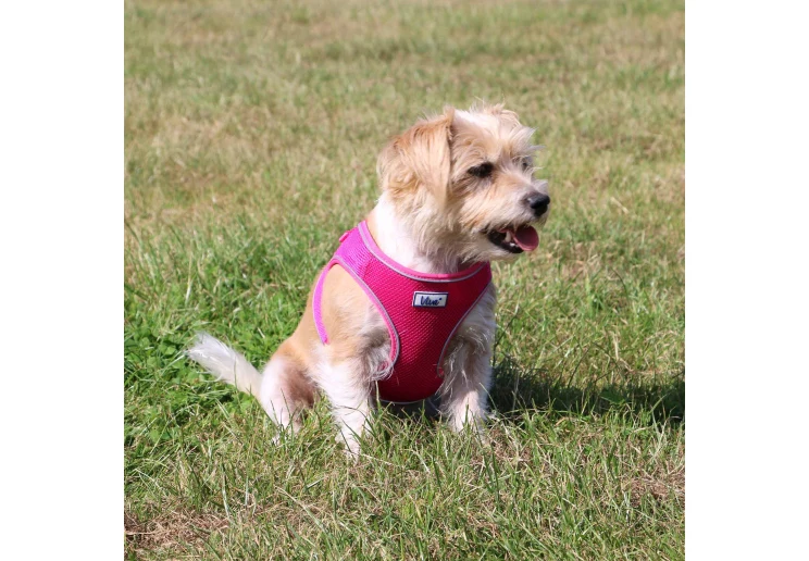 Ancol Viva Step-in Harness Pink - Image 3