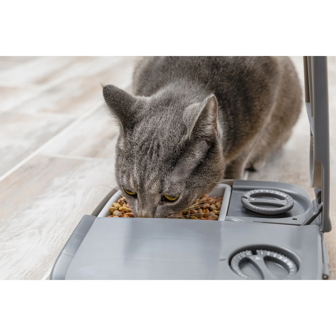 Automatic 2 Meal Pet Feeder - Image 4