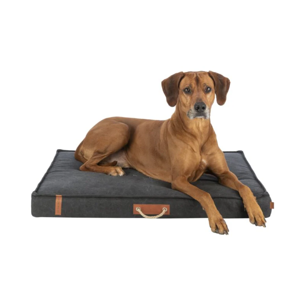 Be Nordic Föhr Mattress, 100 × 70 Cm, Black - Image 6