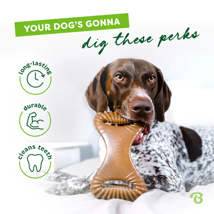 Benebone Dental Chew Bacon - Image 6