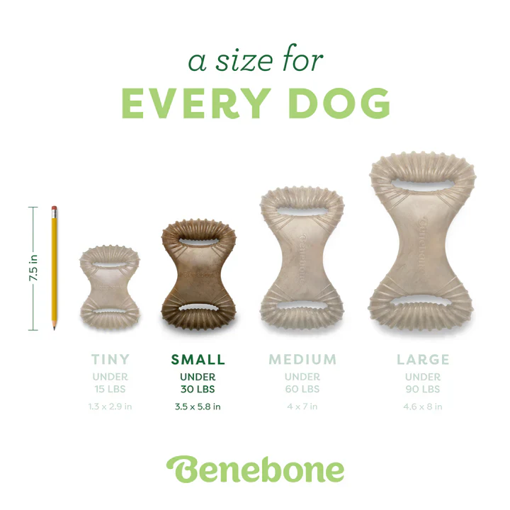 Benebone Dental Chew Bacon - Image 7