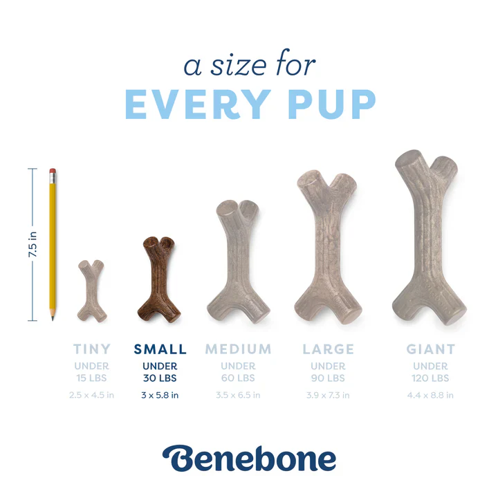 Benebone Puppy Maple Stick Small - Image 5