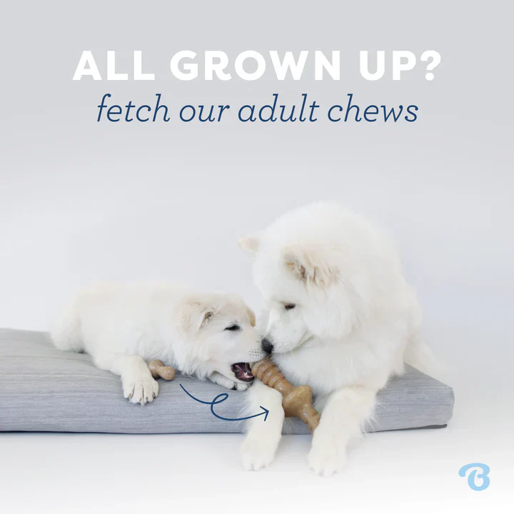 Benebone Puppy Maple Stick Small - Image 6