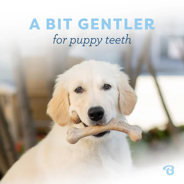 Benebone Puppy Wishbone Bacon - Image 4