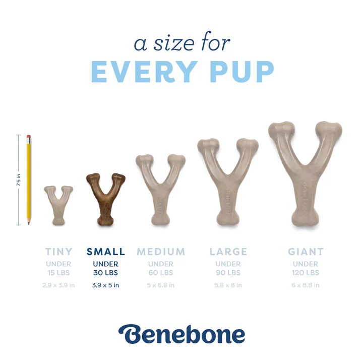 Benebone Puppy Wishbone Bacon - Image 6