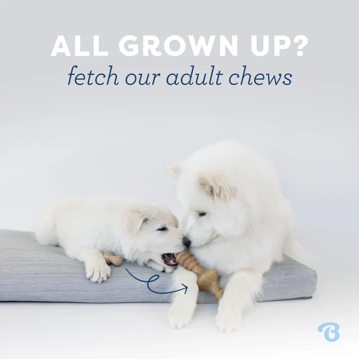 Benebone Puppy Wishbone Bacon - Image 7