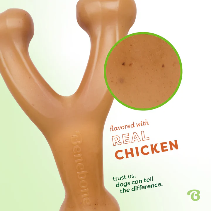 Benebone Wishbone Chicken Dog Chew - Image 3