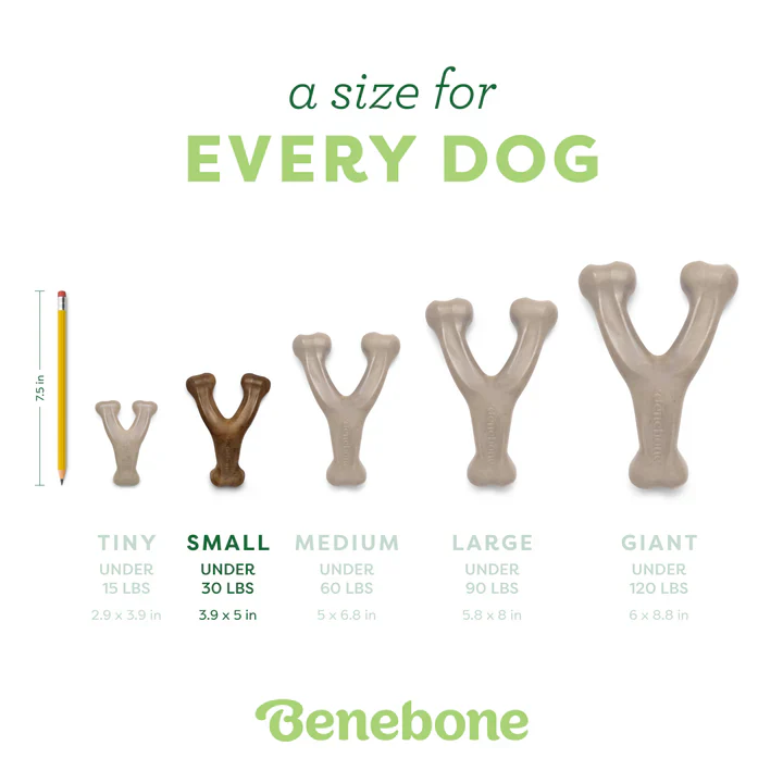 Benebone Wishbone Chicken Dog Chew - Image 5
