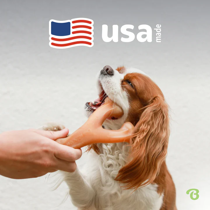 Benebone Wishbone Chicken Dog Chew - Image 7
