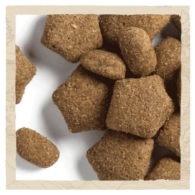 Beta Light Turkey Dog Food 14kg - Image 3