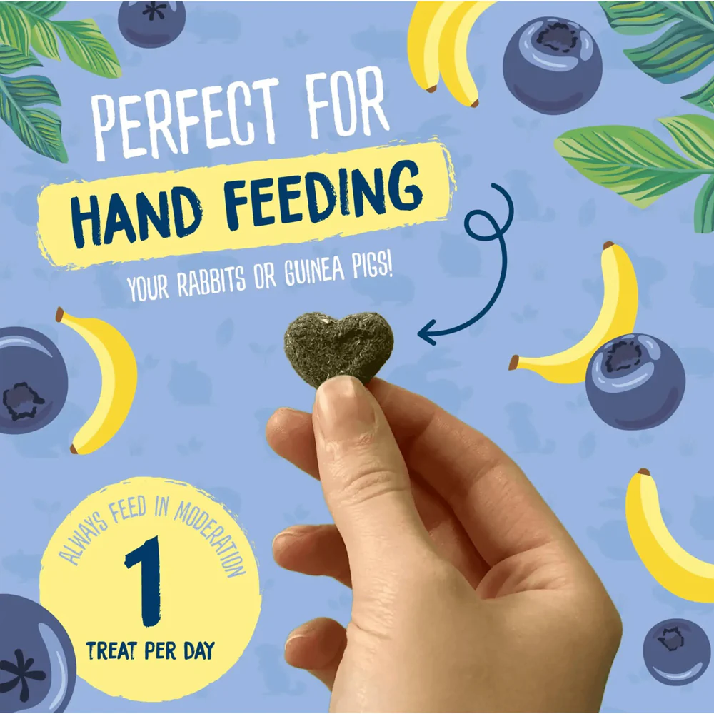 Burgess Excel Fruity Feasts Treats for Rabbits and Guinea Pigs – 60g - Image 3