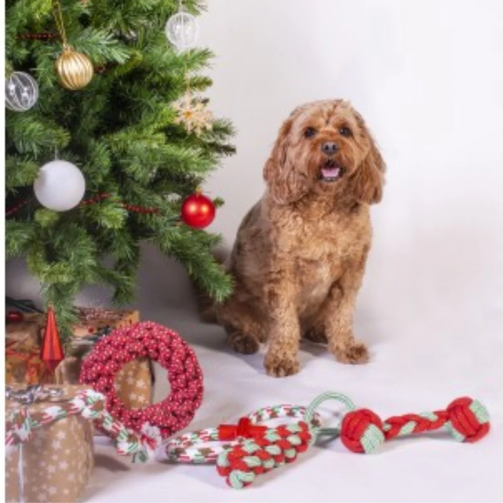 Christmas Rope Dog Toy- 44cm - Image 2