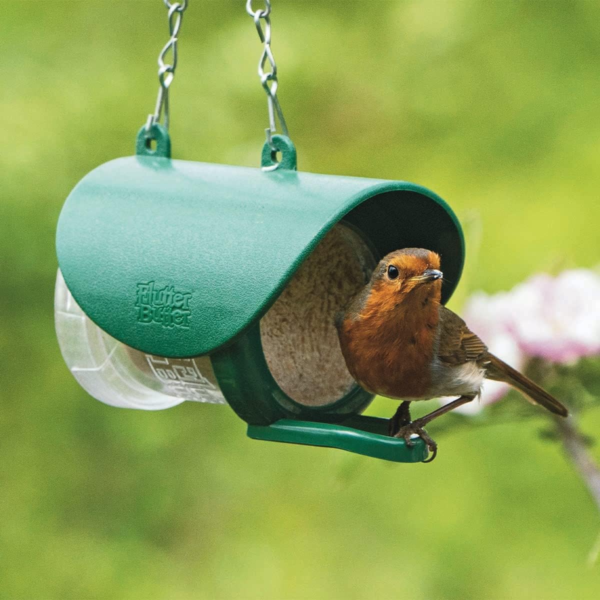 Flutter Butter Feeder - Image 5
