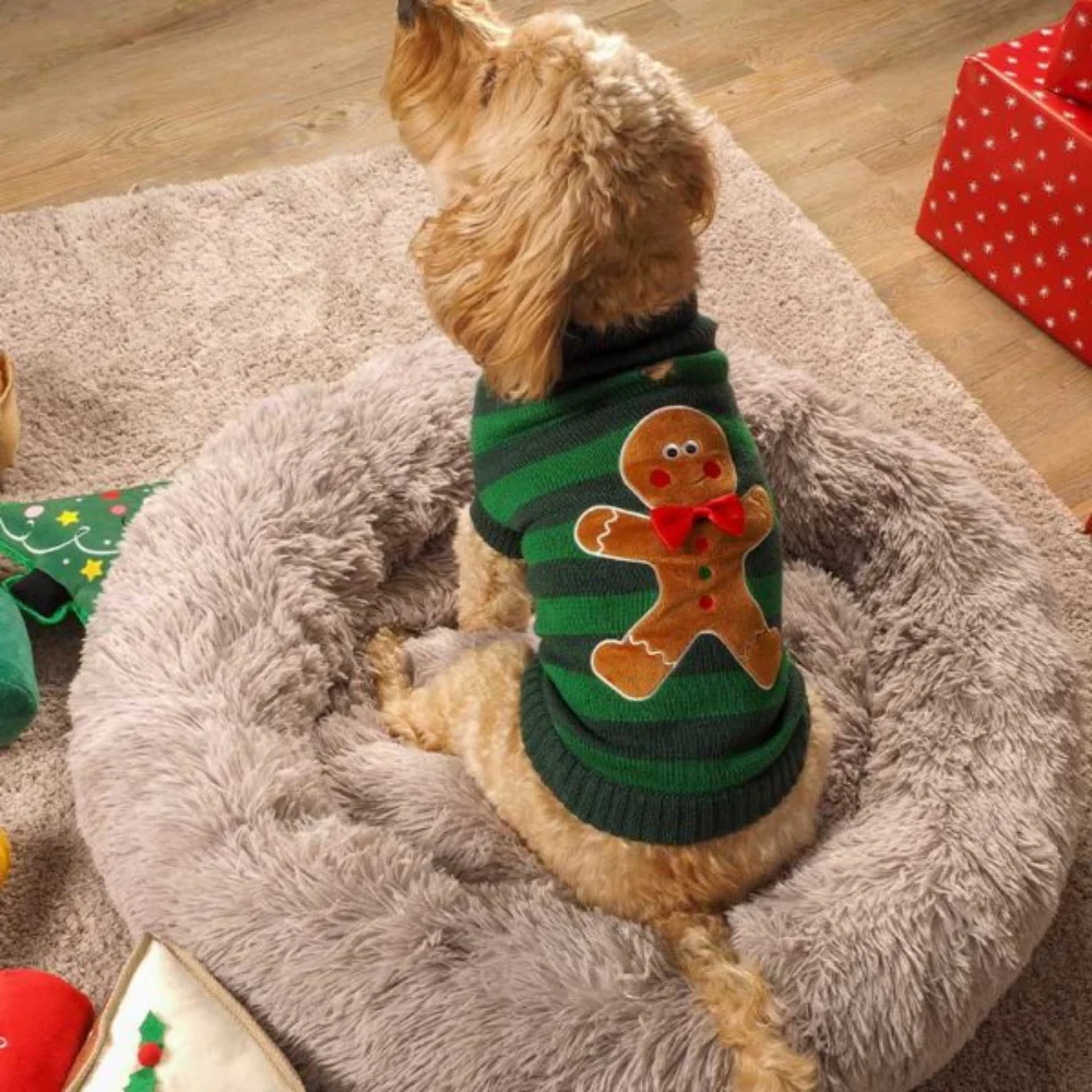 Gingerbread Jumper