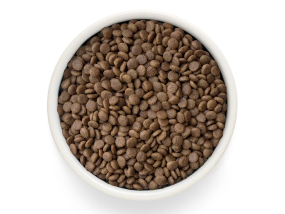 Grandorf Grain Free Cat Fresh Turkey 400g - Image 2
