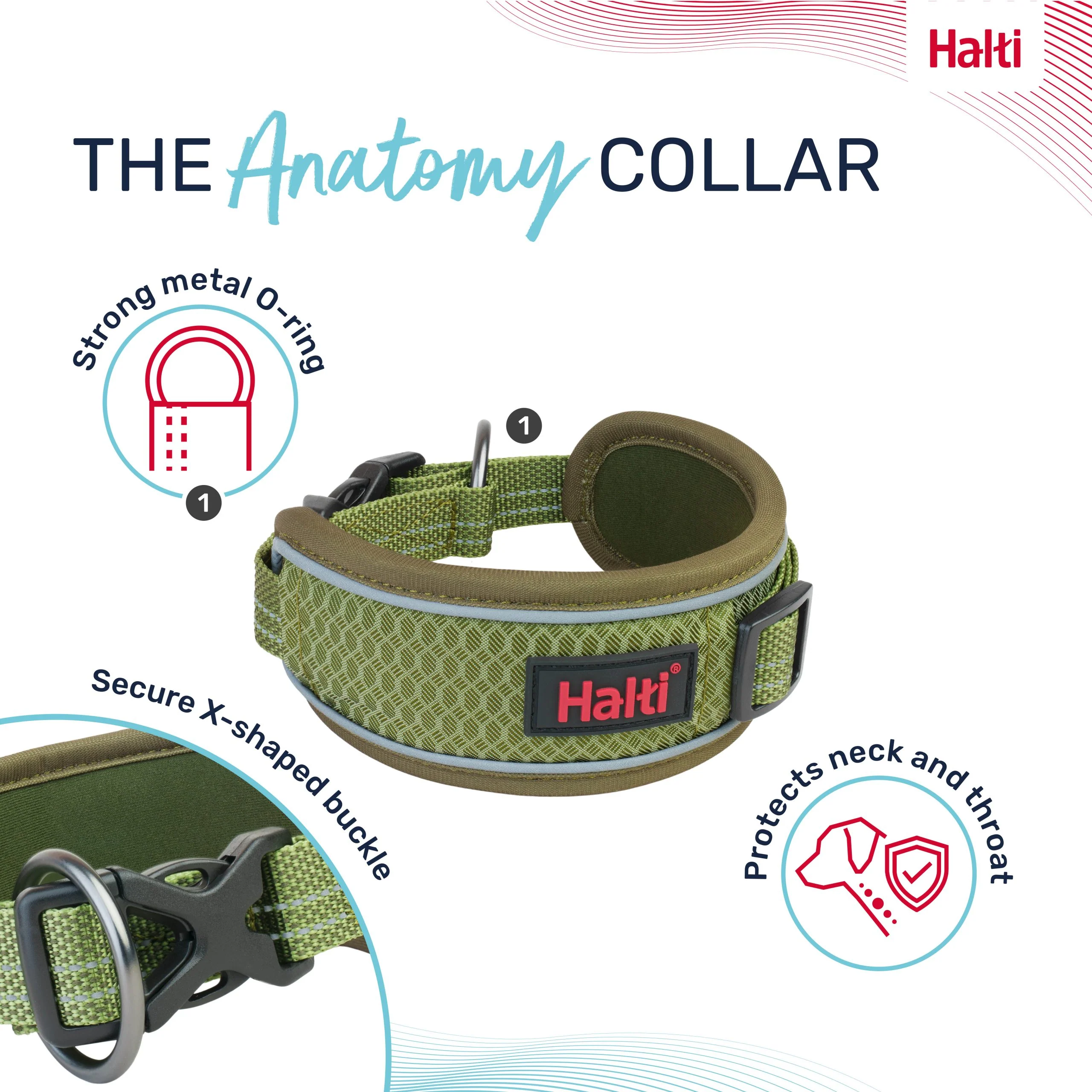 Halti Anatomy Dog Collar - Image 5