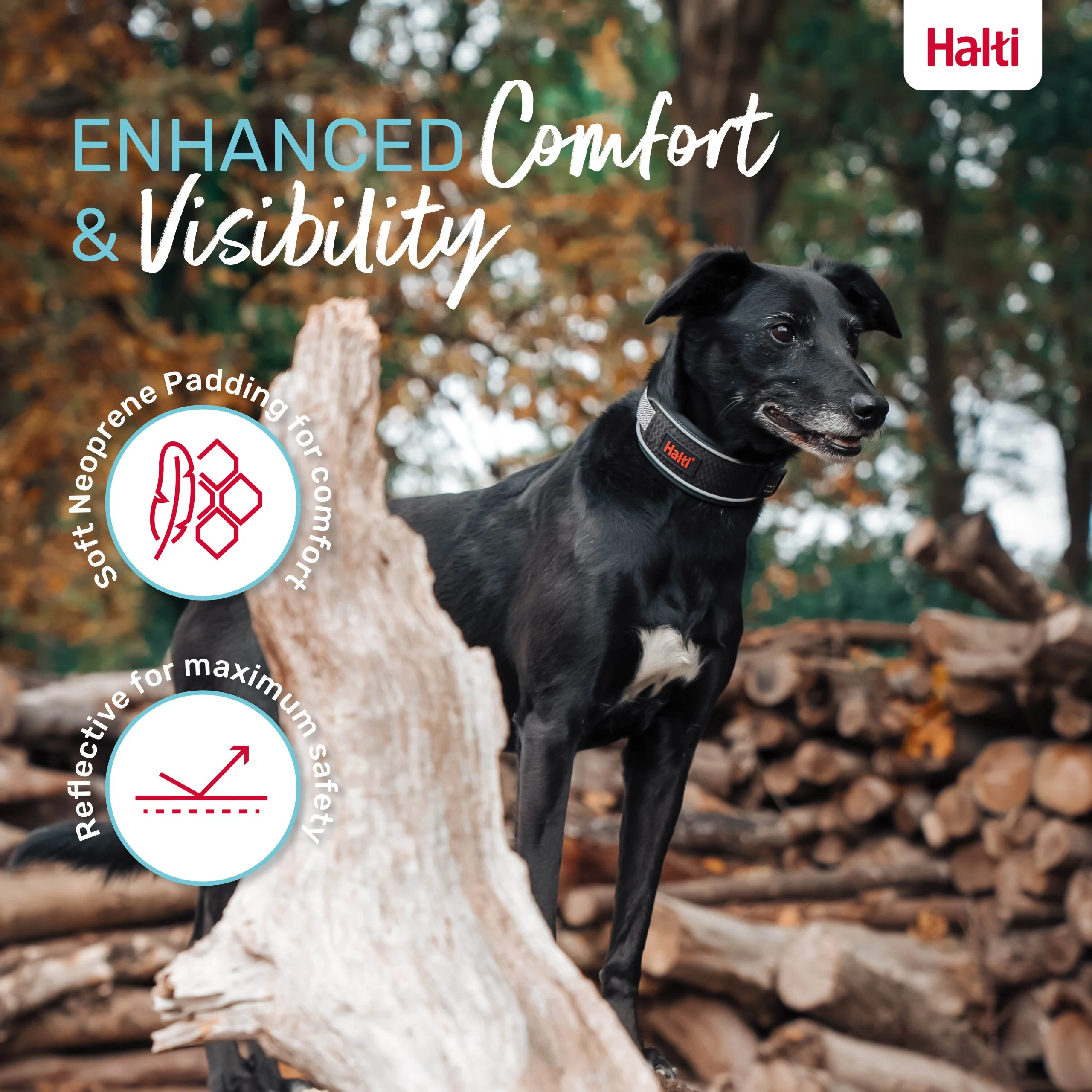 Halti Anatomy Dog Collar - Image 7