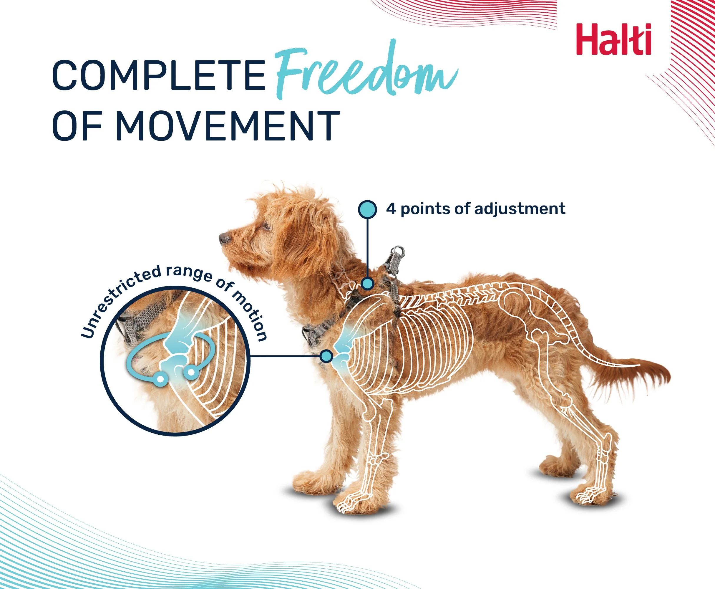 Halti Anatomy Puppy Harness - Image 5