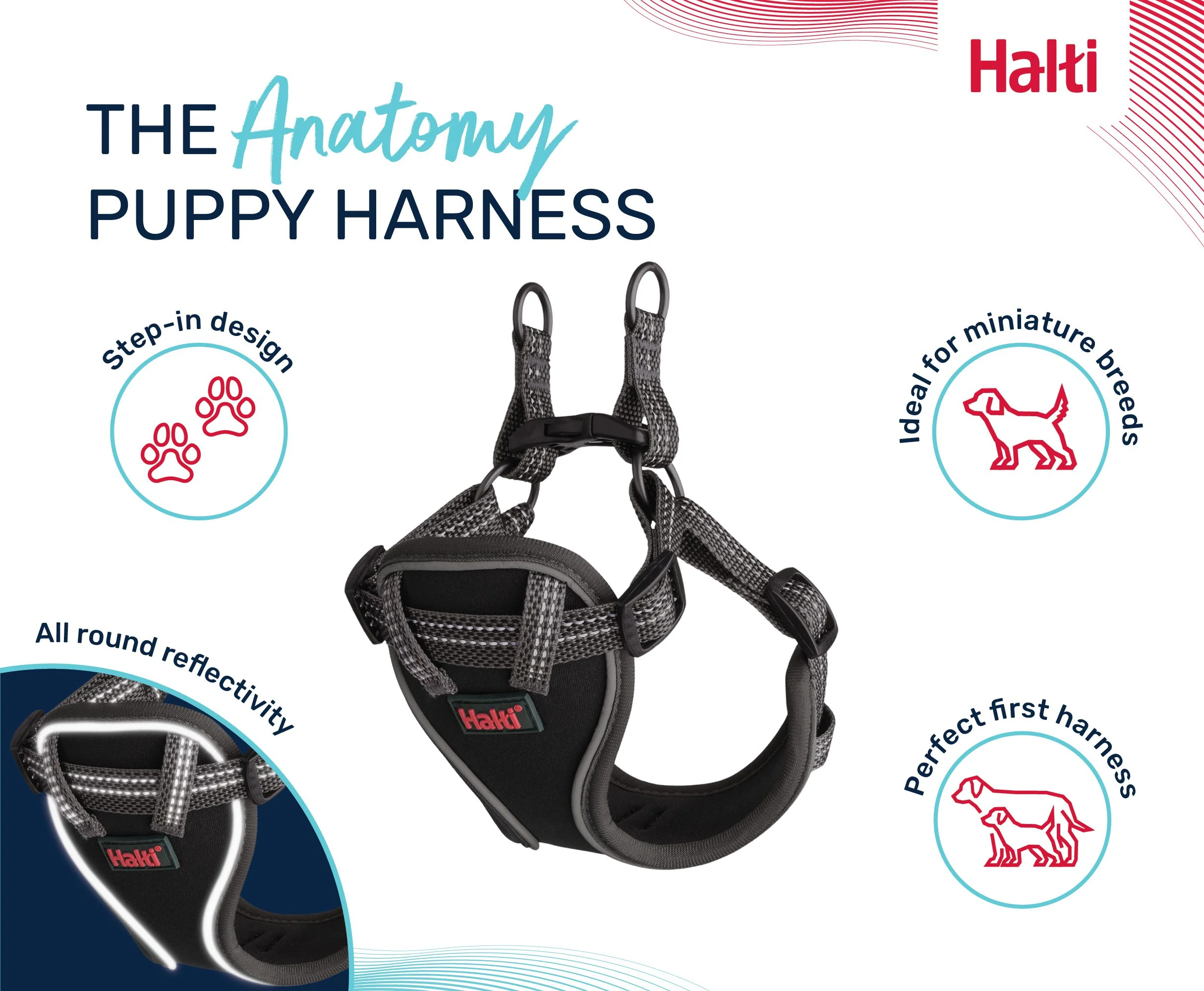 Halti Anatomy Puppy Harness - Image 6