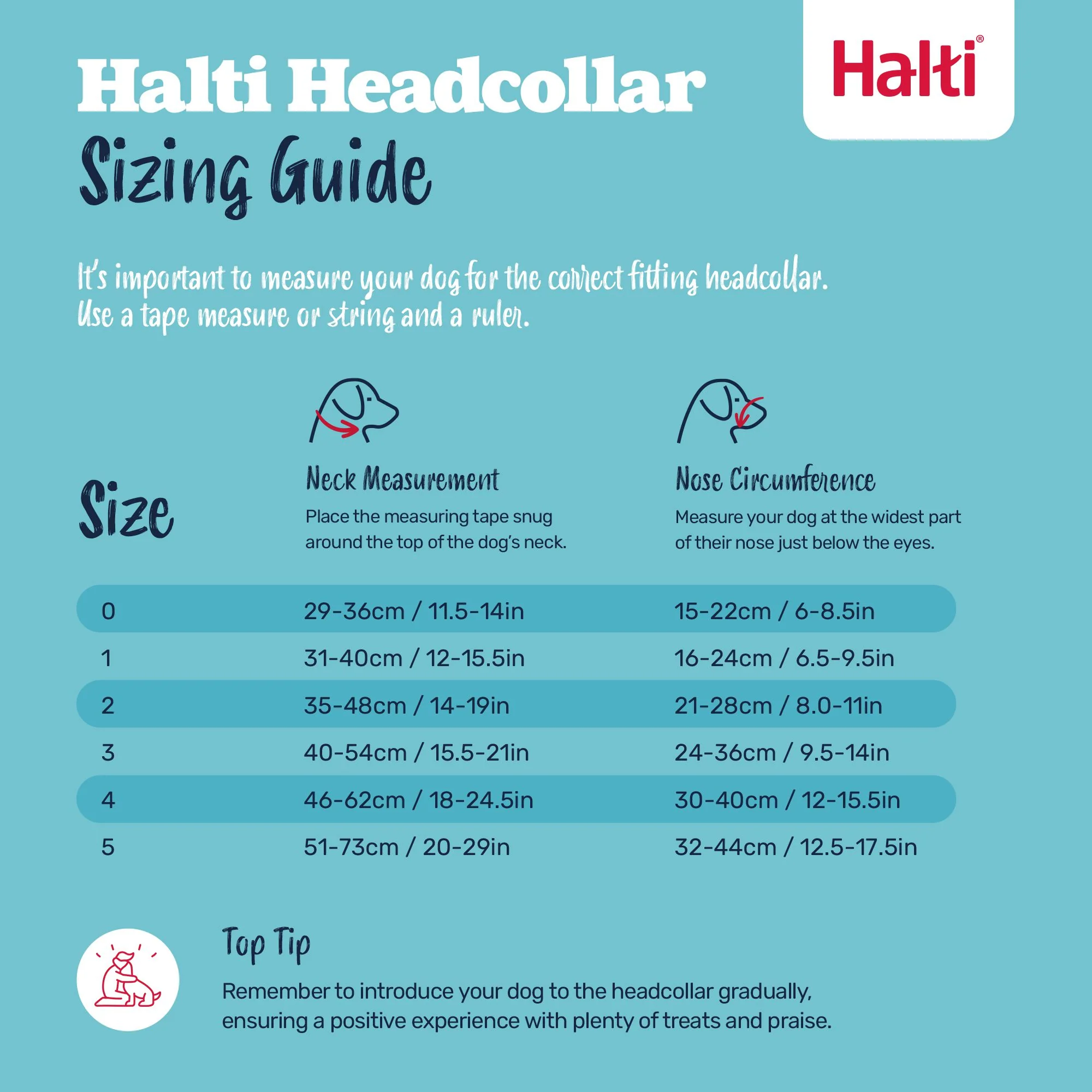 Halti Dog Head Collar Black Size 3 - Image 4