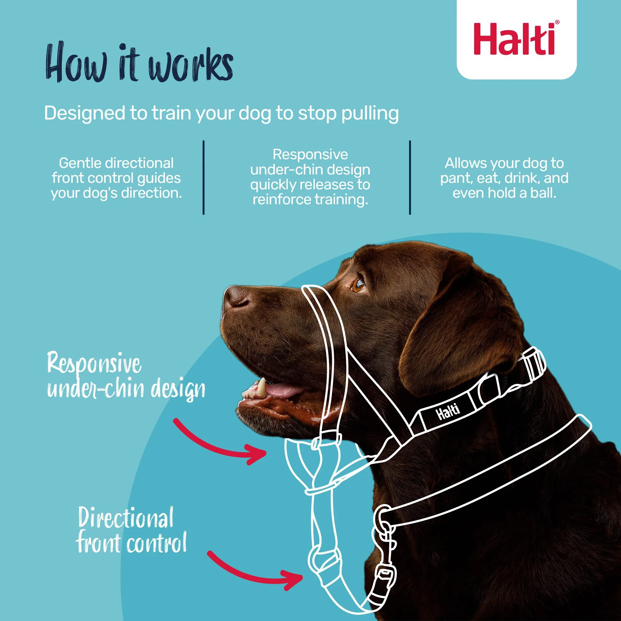 Halti Dog Head Collar Black Size 3 - Image 5