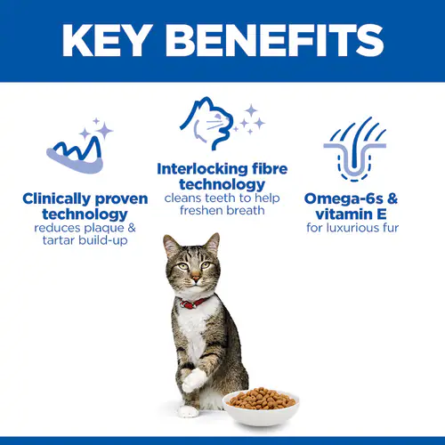 Hill's Science Plan Adult Oral Care Dry Cat Food – Chicken - Image 4