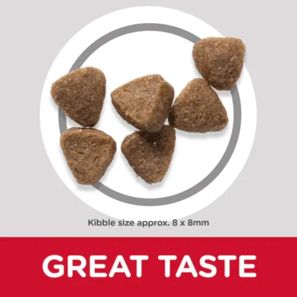 Hill's Science Plan Kitten Dry Cat Food – Chicken - Image 3