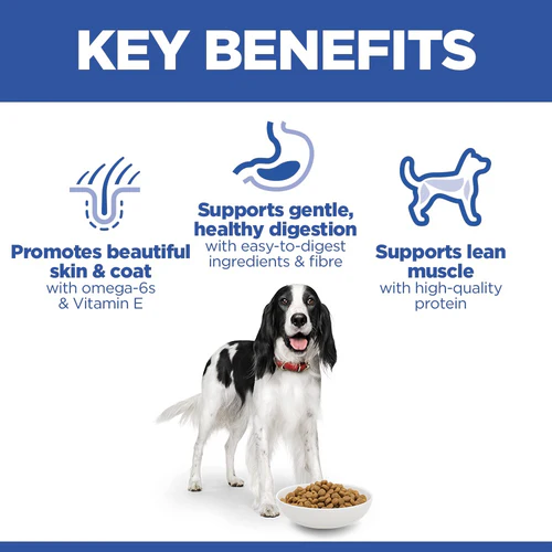Hills Science Plan Medium Adult Dog Food with Chicken - Image 4