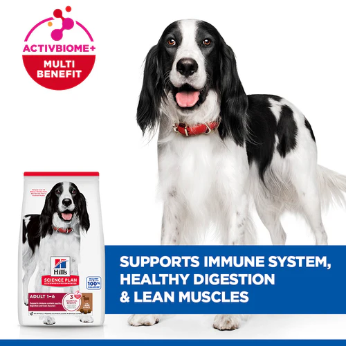 Hills Science Plan Medium Adult Dog Food with Lamb & Rice - Image 6