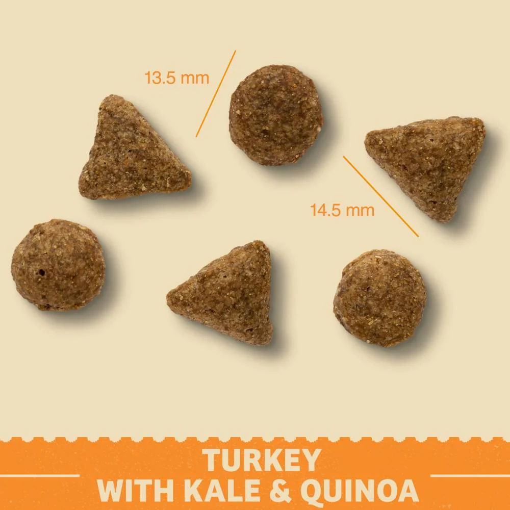 James Wellbeloved Superfood Turkey With Kale & Quinoa Dry Superfood 1.5kg - Image 2