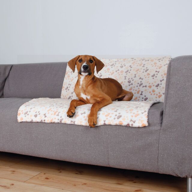 Lingo Plush Dog Blanket – Pawprint & Bones Design - Image 3