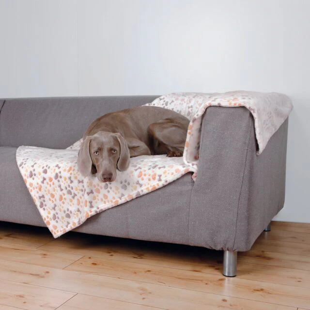 Lingo Plush Dog Blanket – Pawprint & Bones Design - Image 4