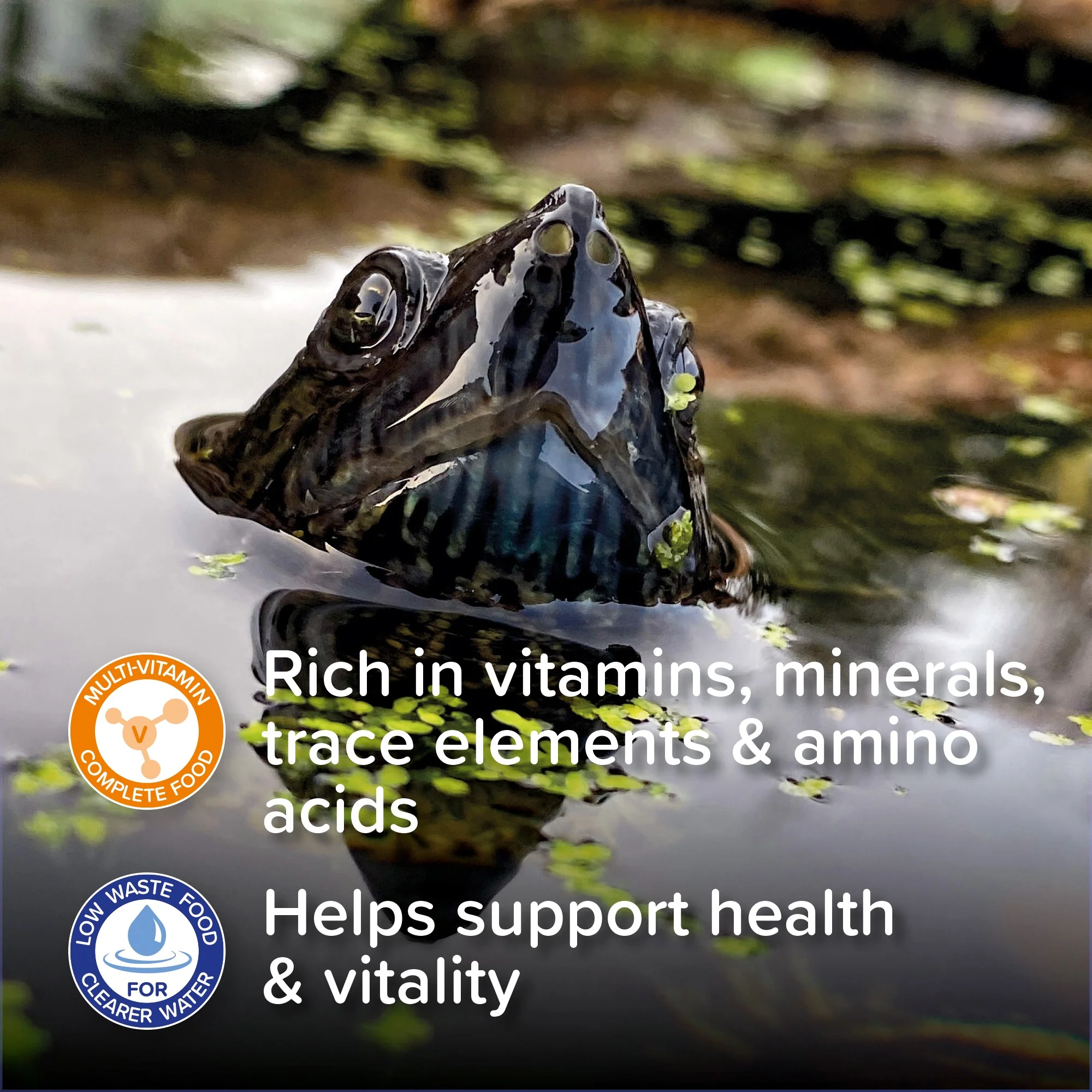 King British Turtle & Terrapin Food - Image 4