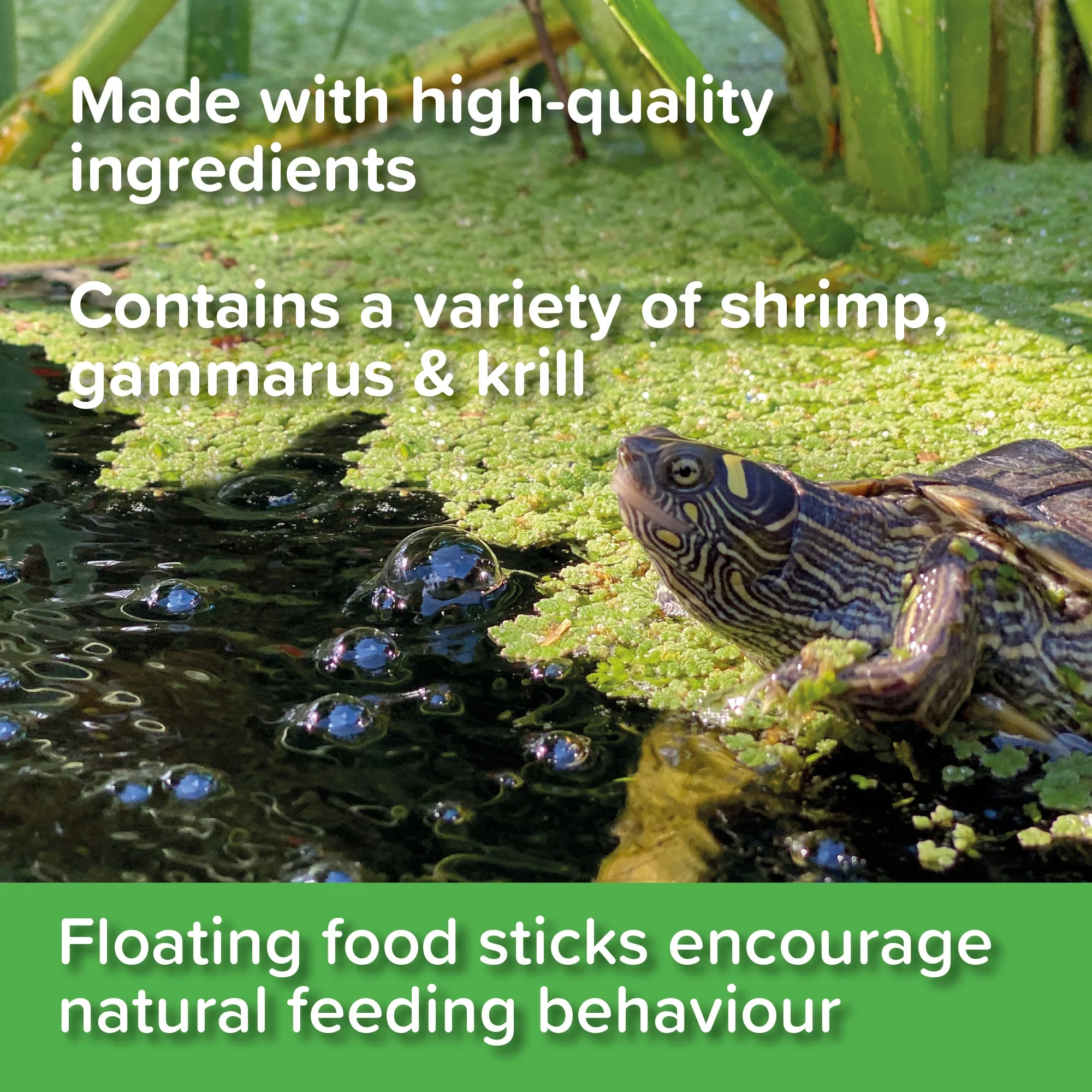 King British Turtle & Terrapin Food - Image 5