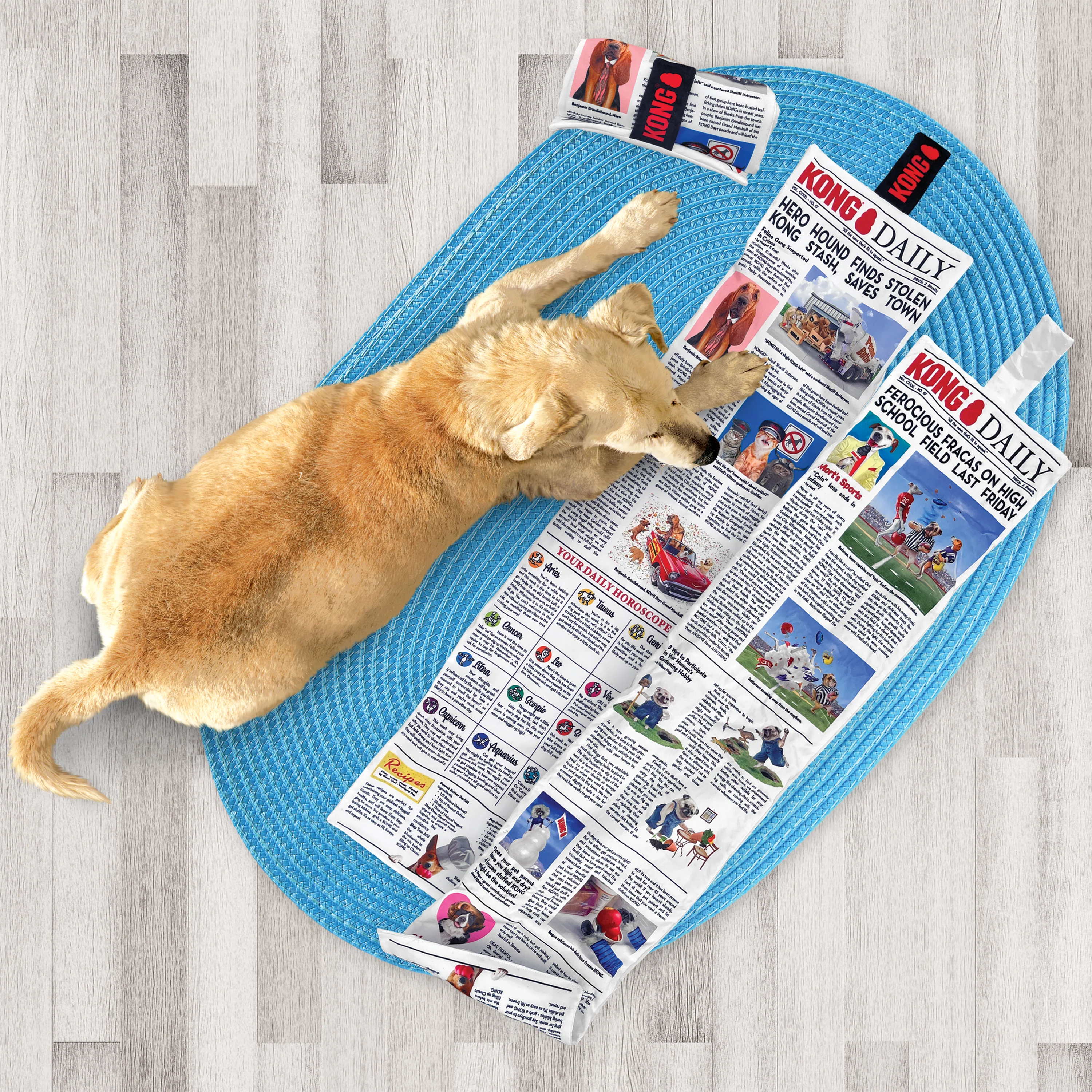 KONG Daily Newspaper XL - Image 2