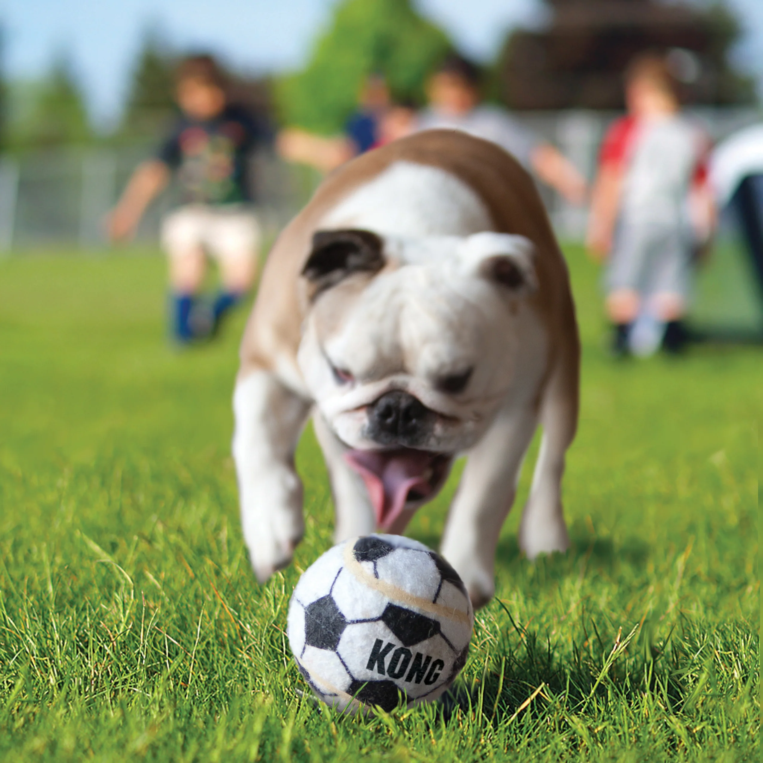 KONG Sport Balls - Image 3
