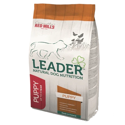 Leader Puppy Medium