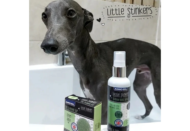 Little Stinkers Shampoo Bar