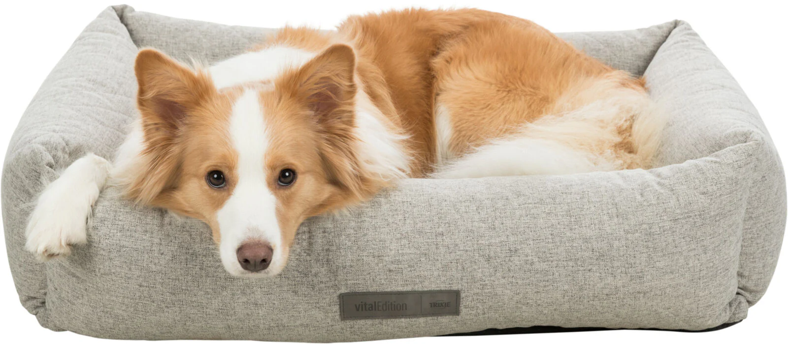 Noah Vital Orthopaedic Dog Bed - Grey - Image 3